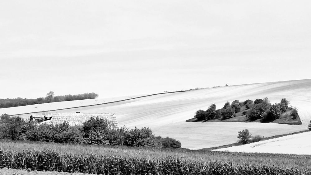 Фотография автора Kiss Gabor