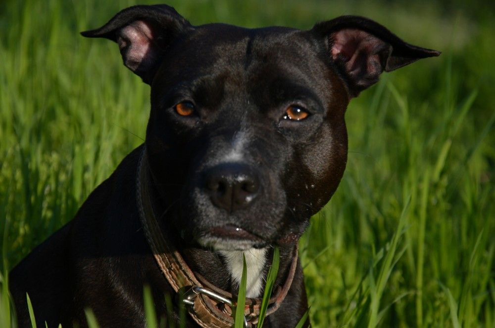 Photograph by Ольга Шевцова