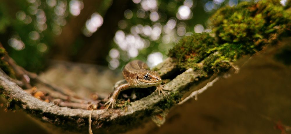 Photograph by Александр Шемятенков