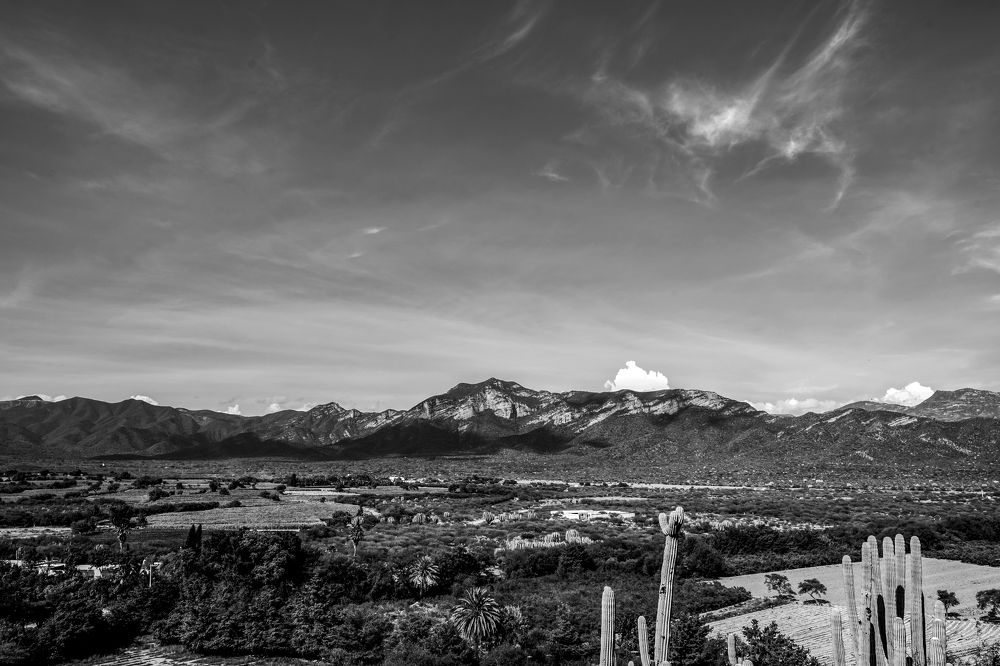 Photograph by Luiggi Muz