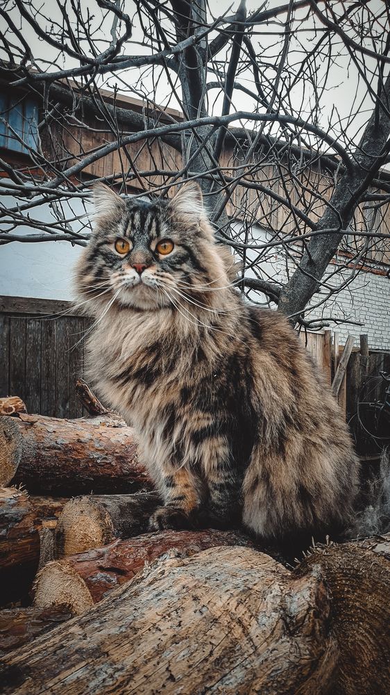 Photograph by Виктор Литошик