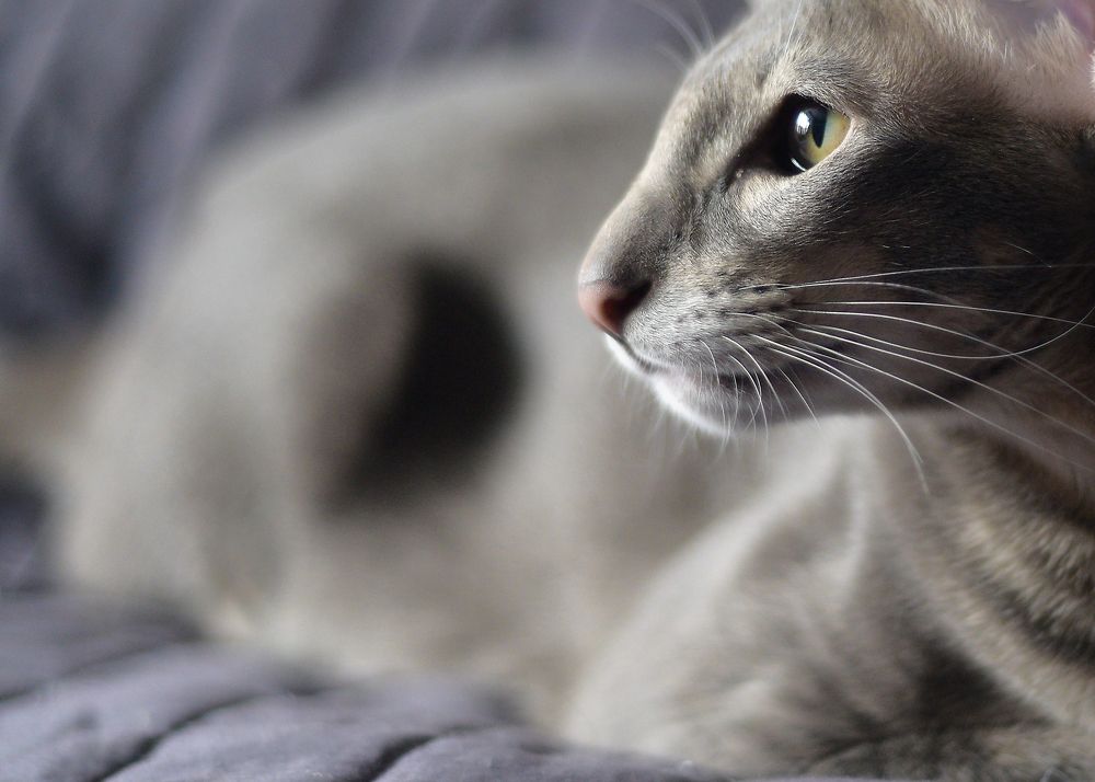 Photograph by Елена Княжева