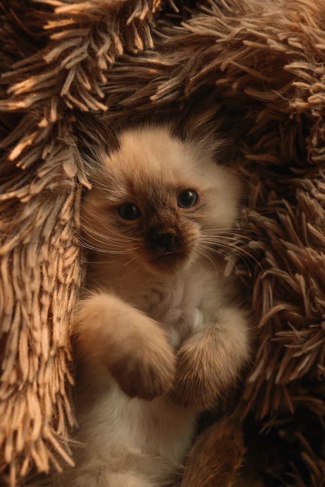 Photograph by Елена Княжева