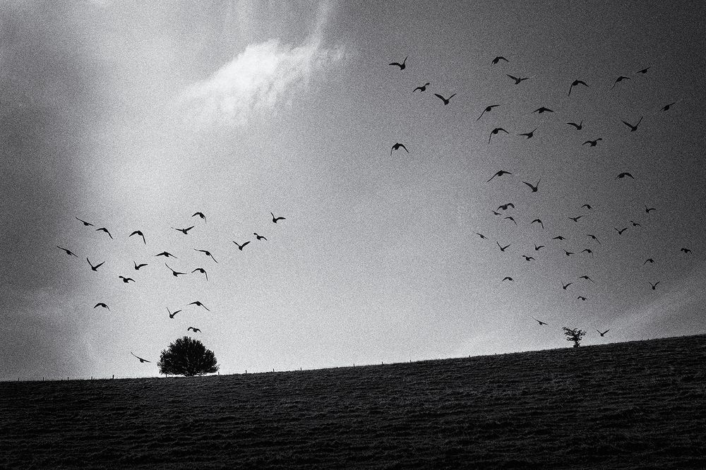 Photograph by Normunds Kaprano