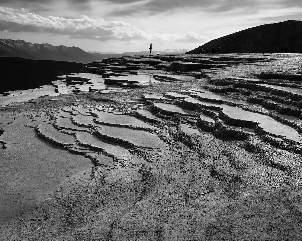 Photograph by Ольга Ларизадех