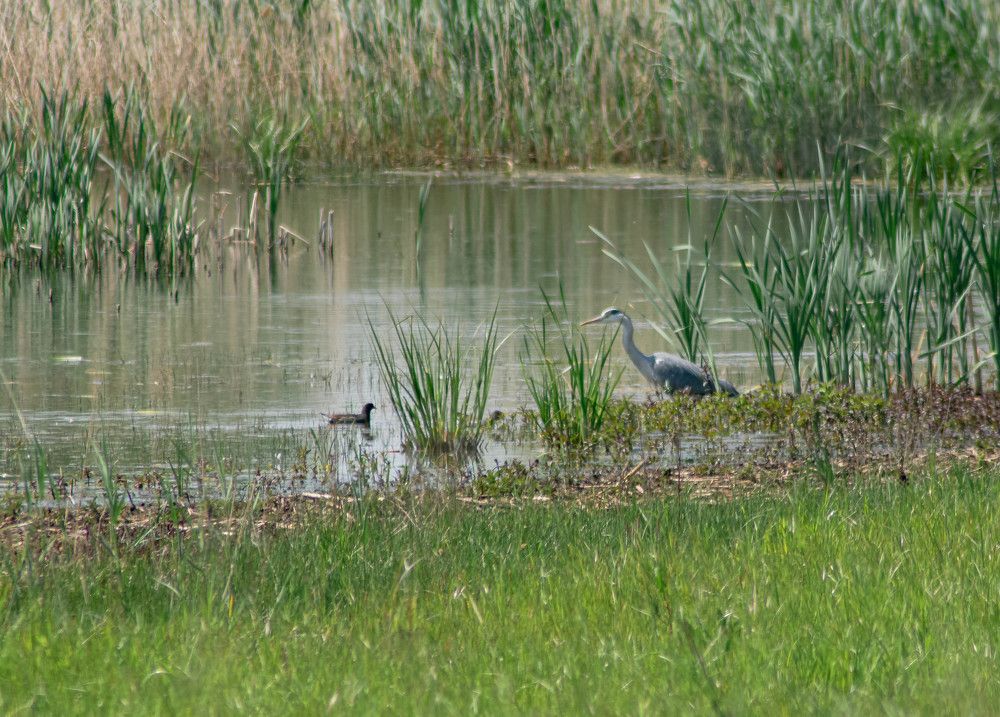 Photograph by Vitalii Kaznin