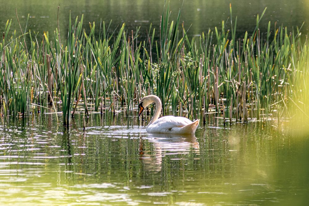 Photograph by Vitalii Kaznin