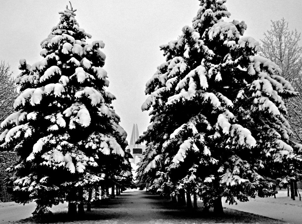 Photograph by леонид натапов