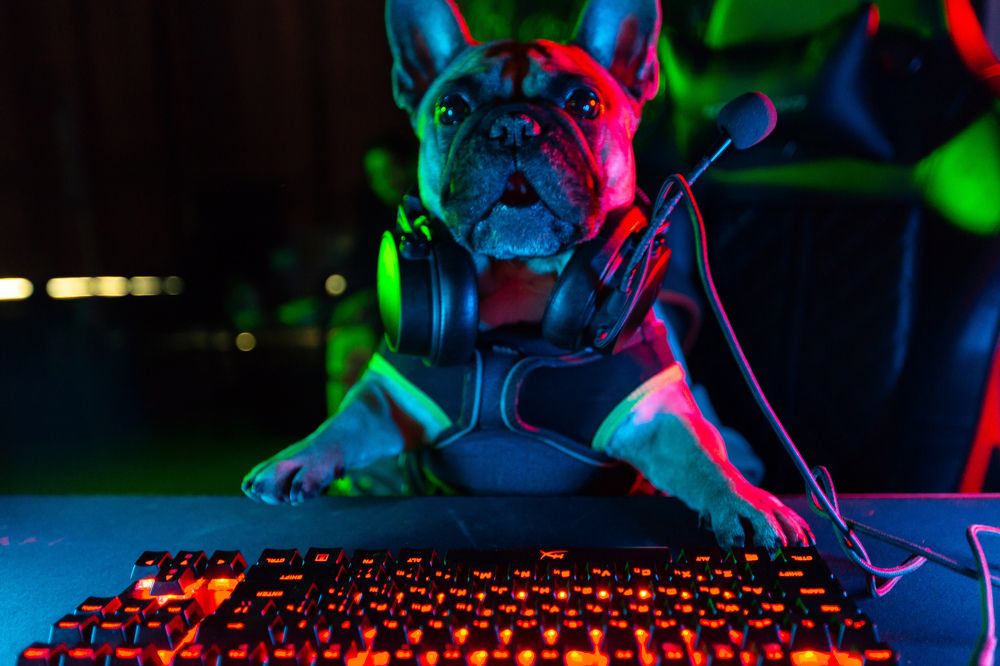 Photograph by Ленар Карим