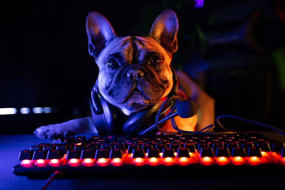 Photograph by Ленар Карим