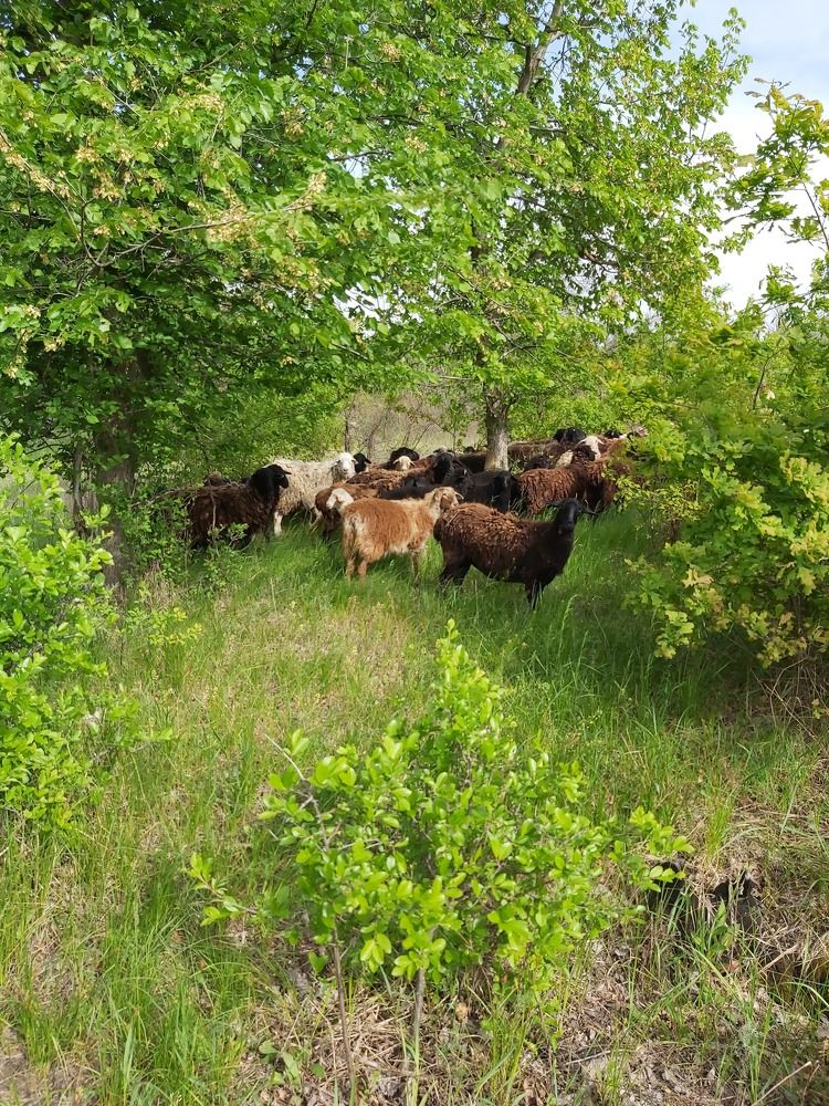 Photograph by Олька Крайнова