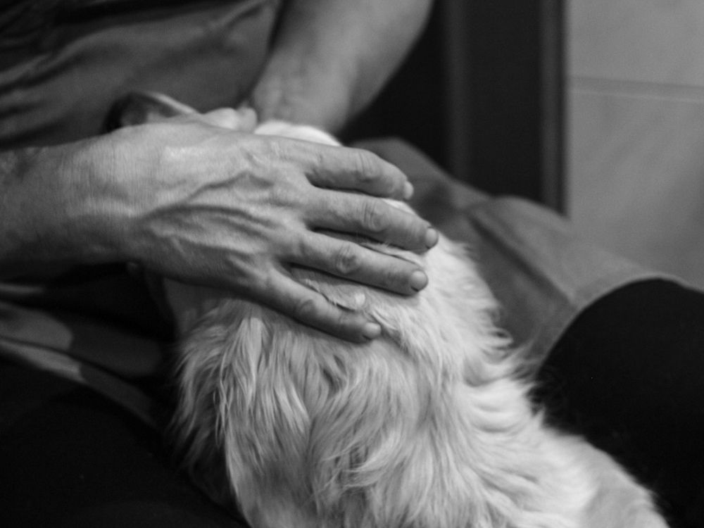 Photograph by Елена Глуховкина