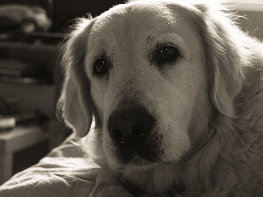 Photograph by Елена Глуховкина