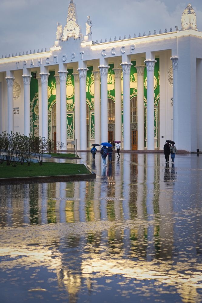 Photograph by Viktoria Vavilkina