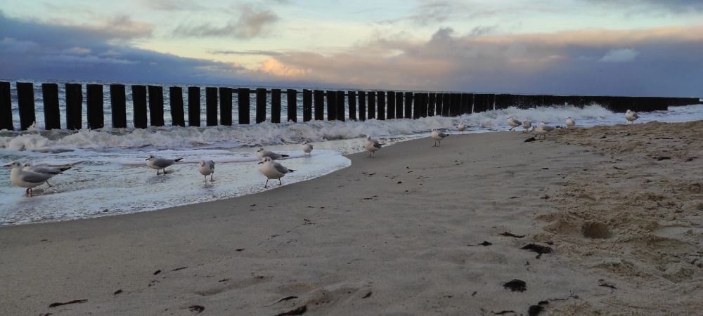 Фотография автора Марина Верина