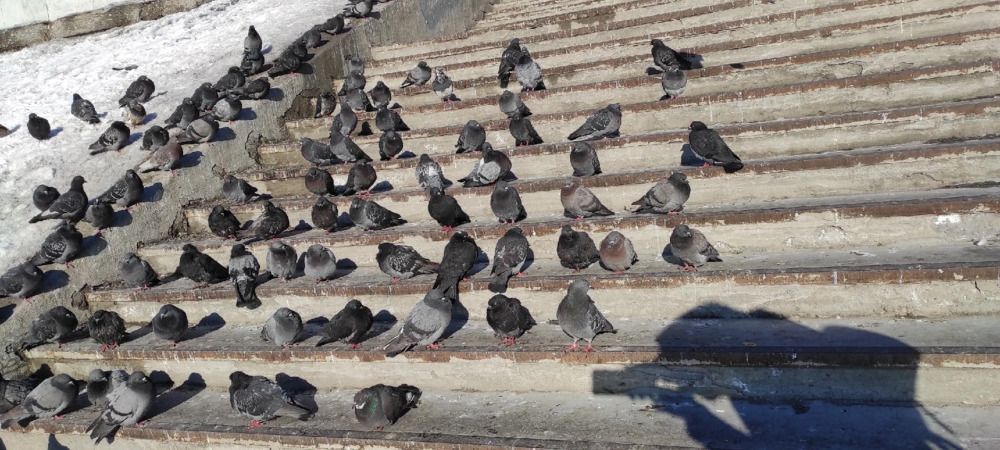 Фотография автора Марина Верина