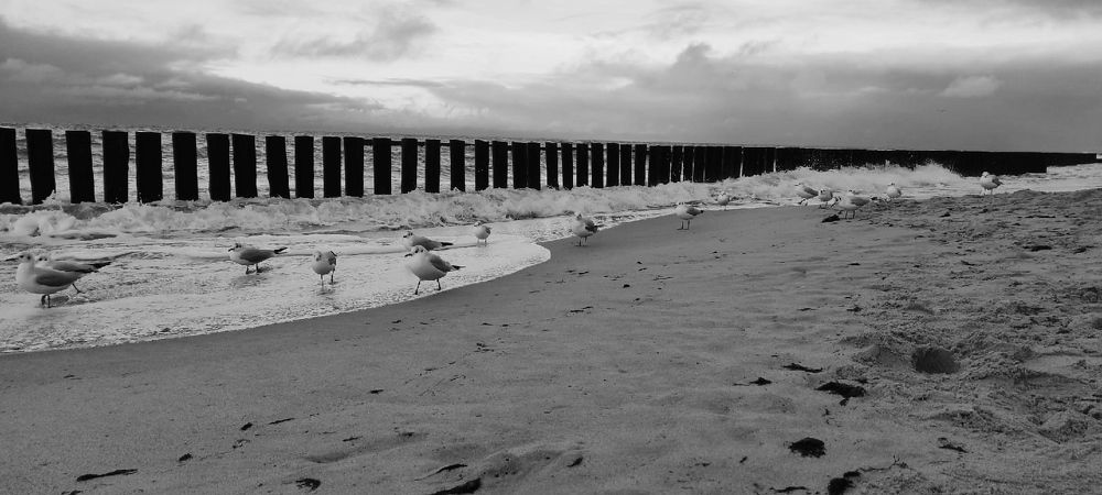 Фотография автора Марина Верина