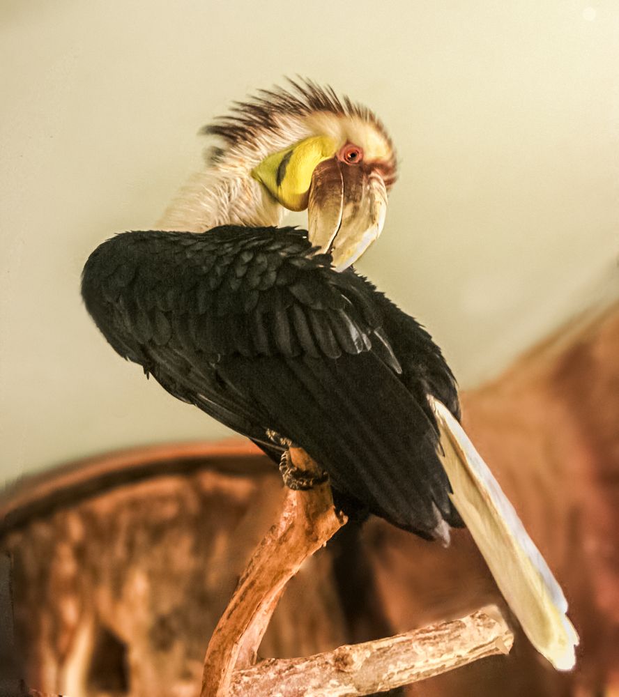 Photograph by Ирина Архипова