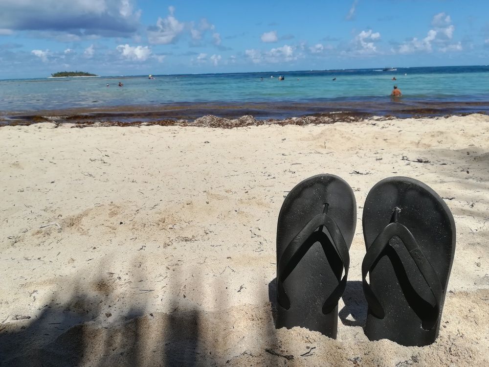 Фотография автора Carolina Mellado