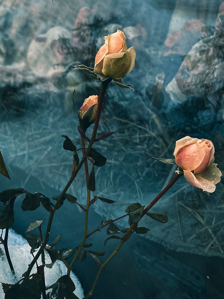 Photograph by Александр