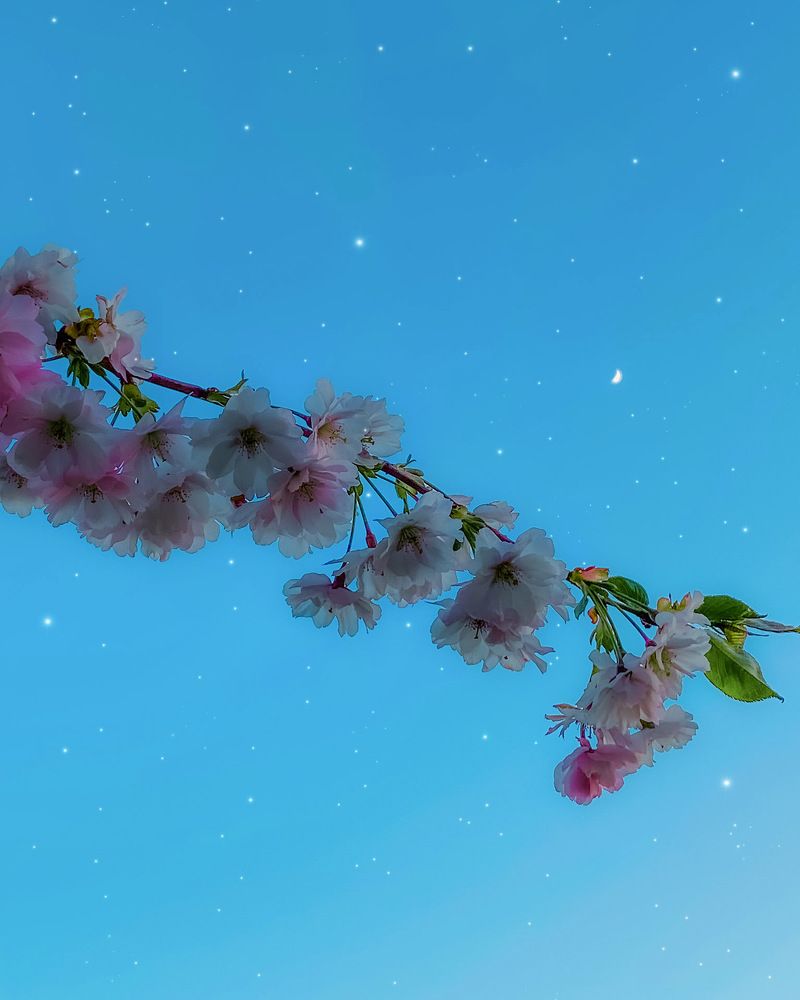 Photograph by Александр