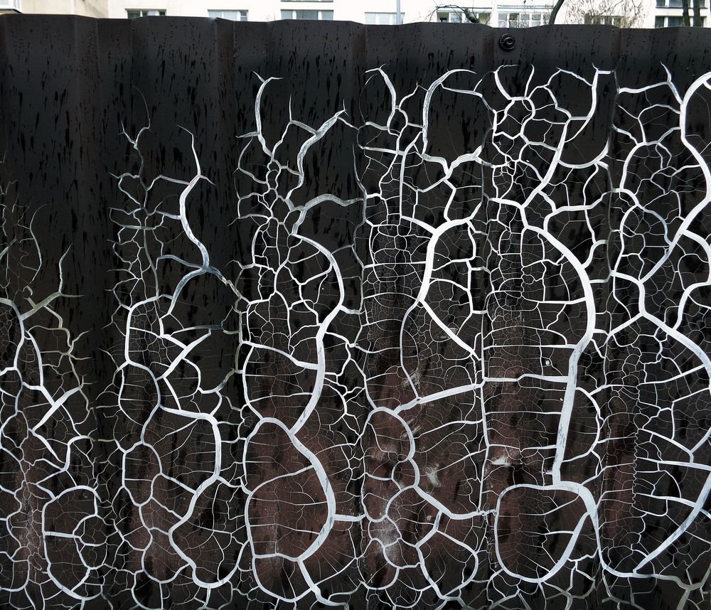 Photo #7557129