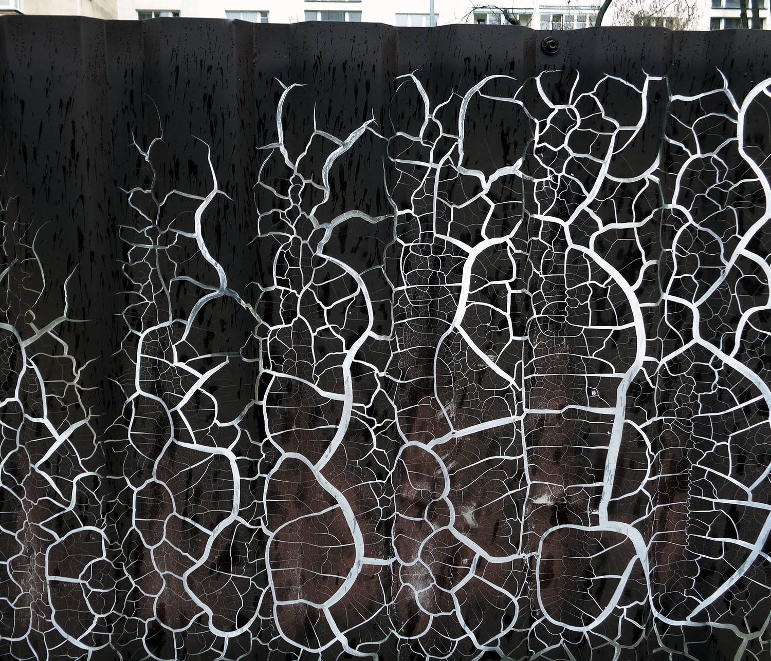 Photo #7557129
