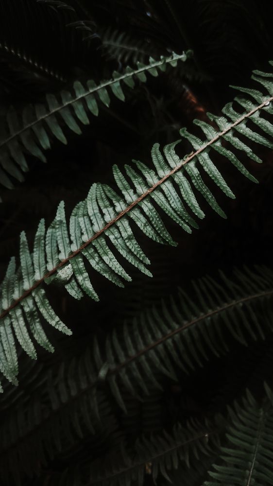 Photograph by Диана Галиуллина