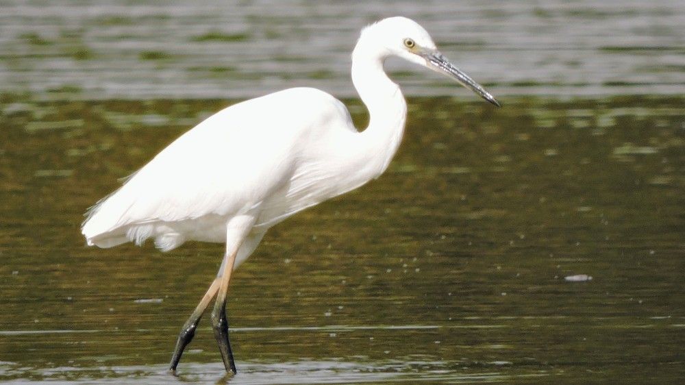 Photograph by Isaac pakissiba Ouedraogo