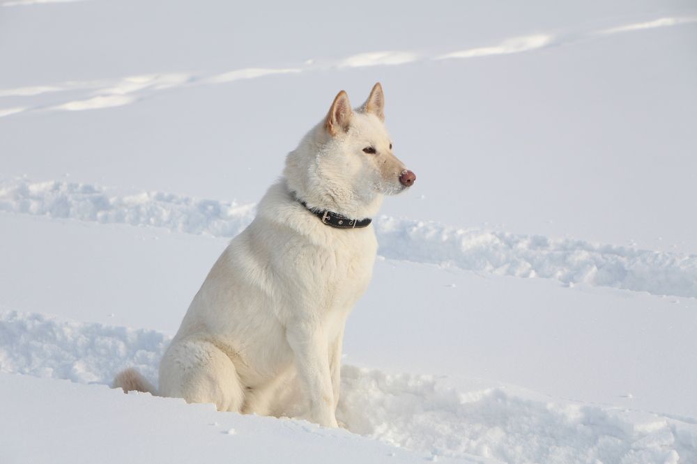 Photograph by Оксана Макрушина