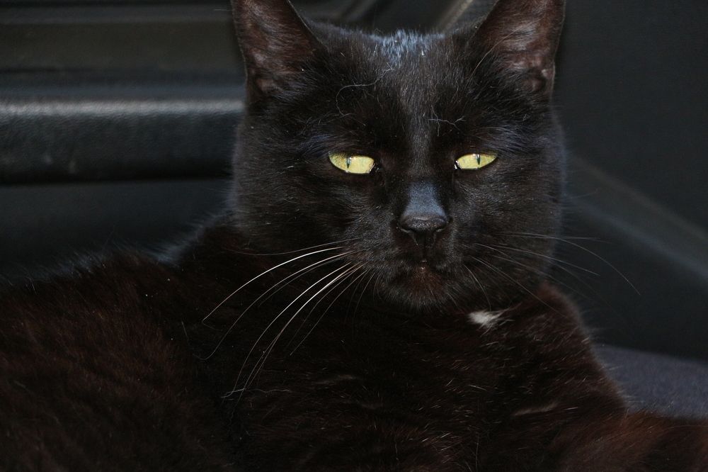 Photograph by Оксана Макрушина