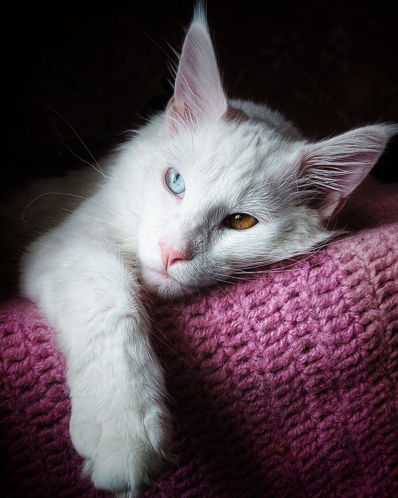 Photograph by Лера