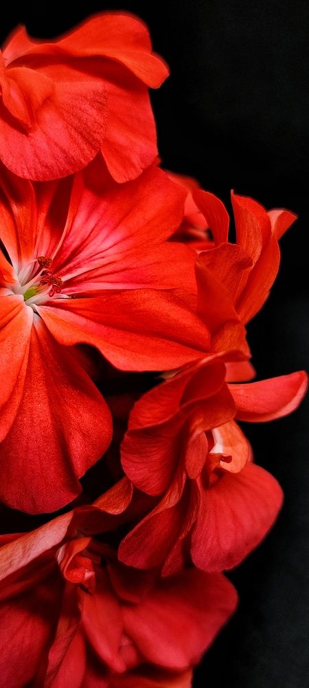 Photograph by Катерина Ермолаева