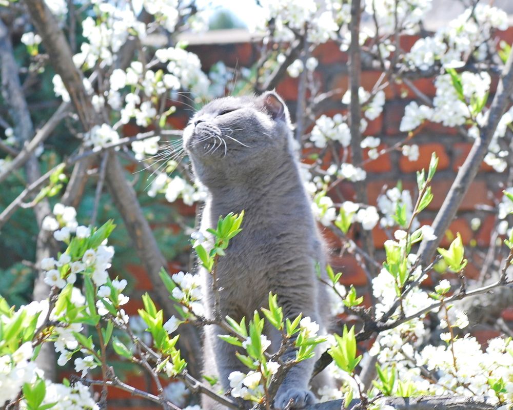 Photograph by Оксана Трофименко