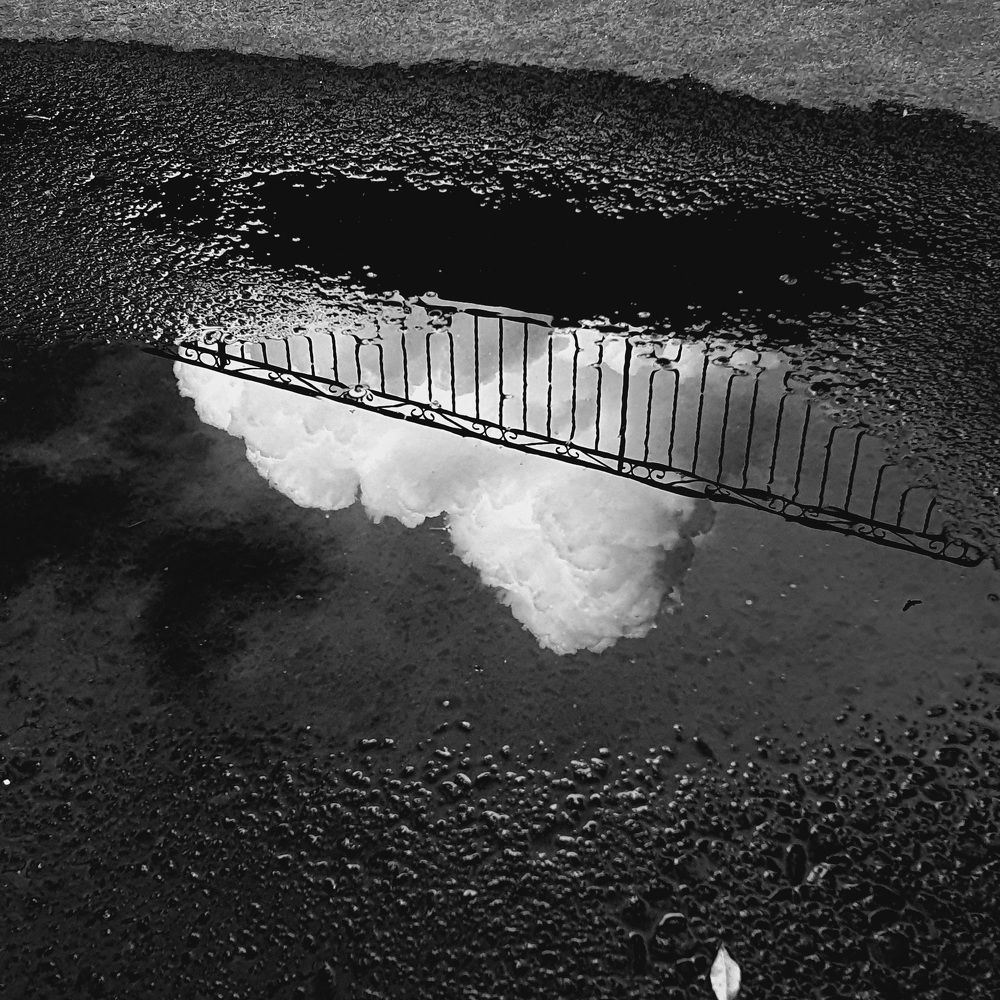 Photograph by Dâmaris Ferrão