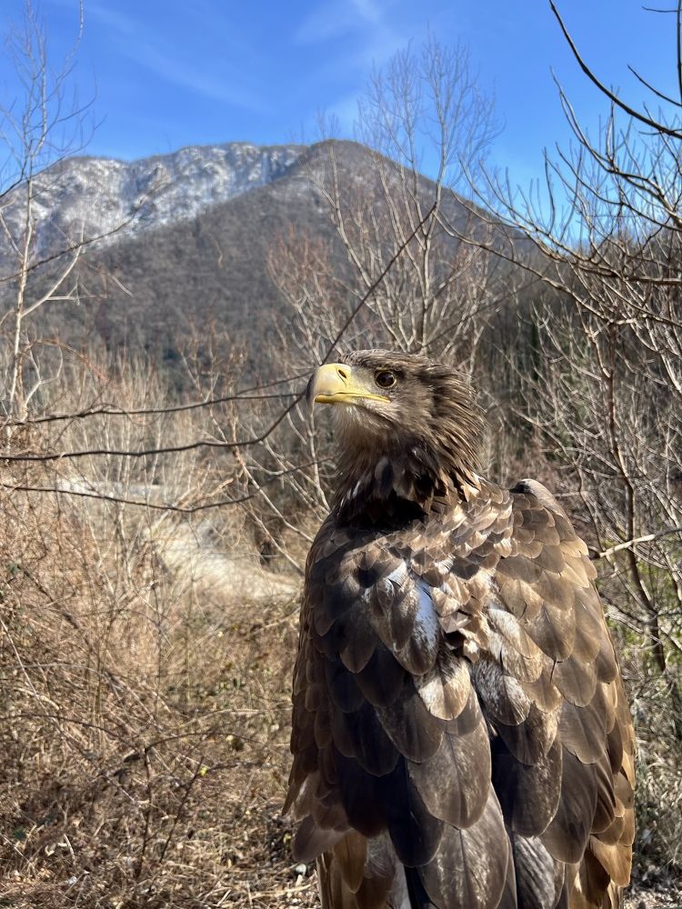 Photograph by Елена Мизина