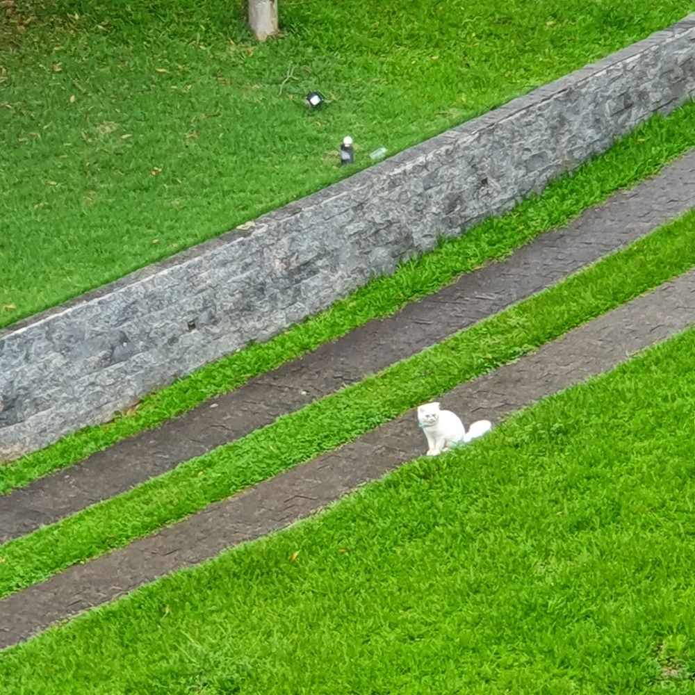 Photograph by Dâmaris Ferrão