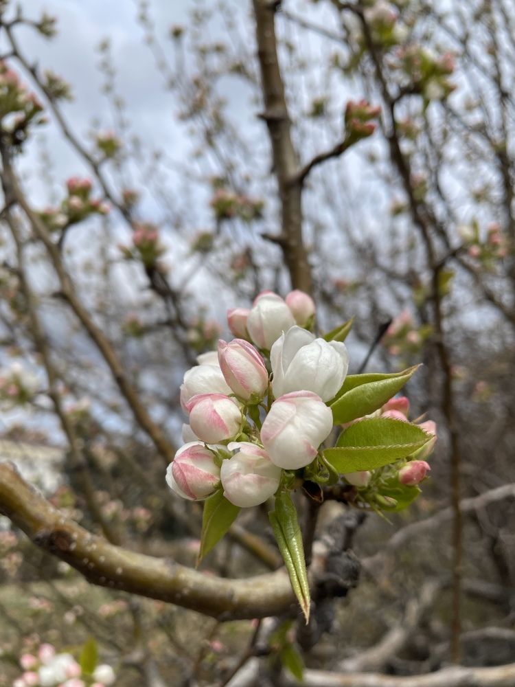 Photograph by Ольга Игумнова