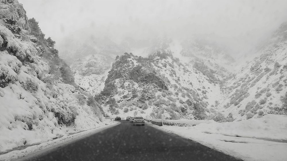 Photograph by Javad Tafti Farashah