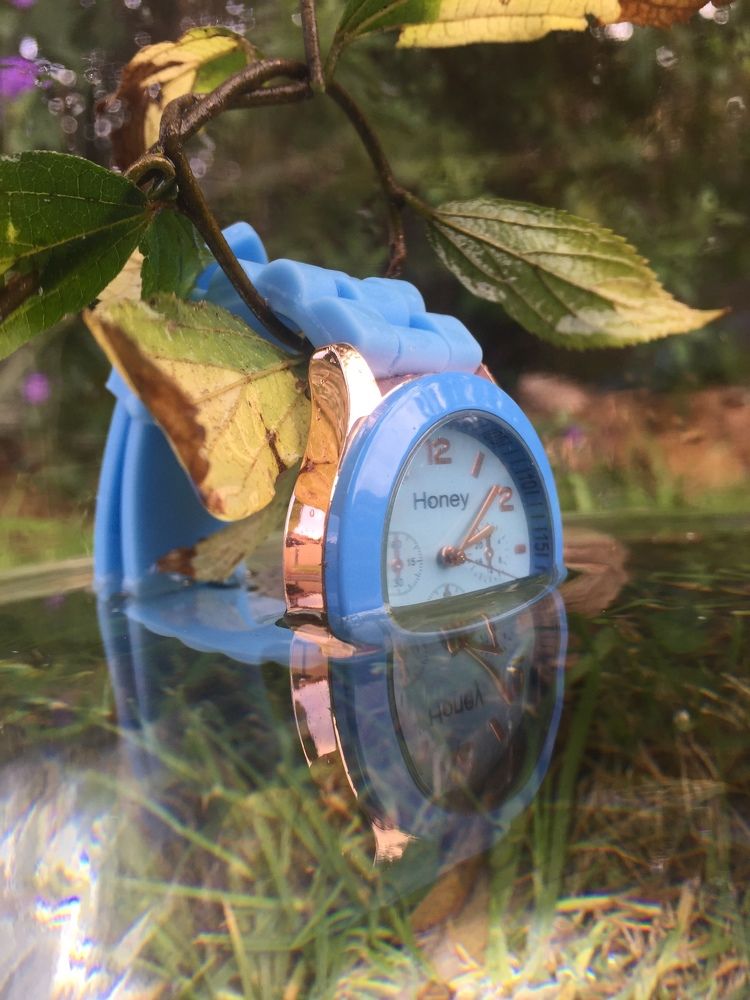 Photograph by Theresa Bezuidenhout