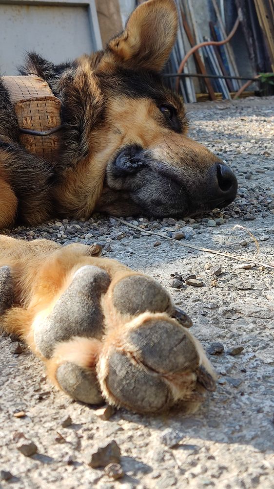 Photograph by Javad Tafti Farashah