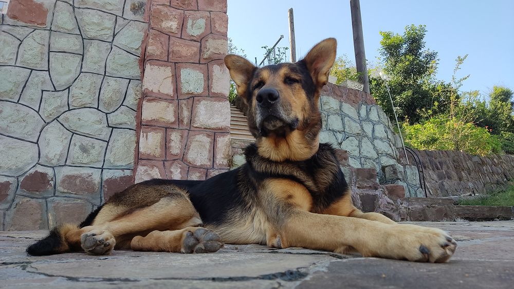 Photograph by Javad Tafti Farashah