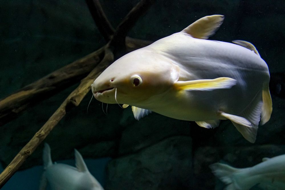 Photograph by Анастасия Чадина