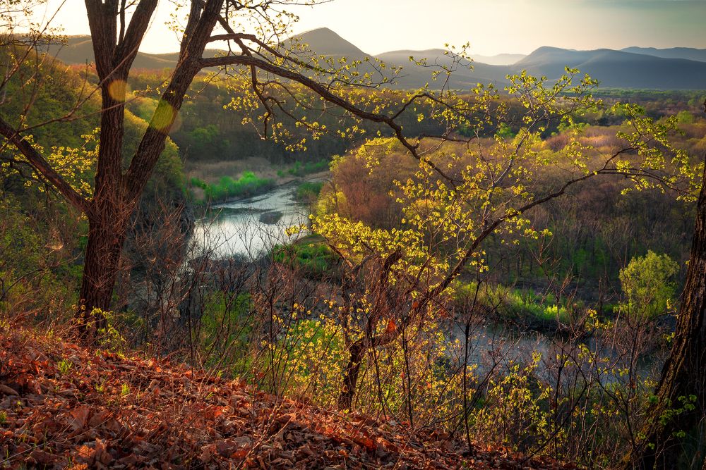 Photograph by Константин Костин