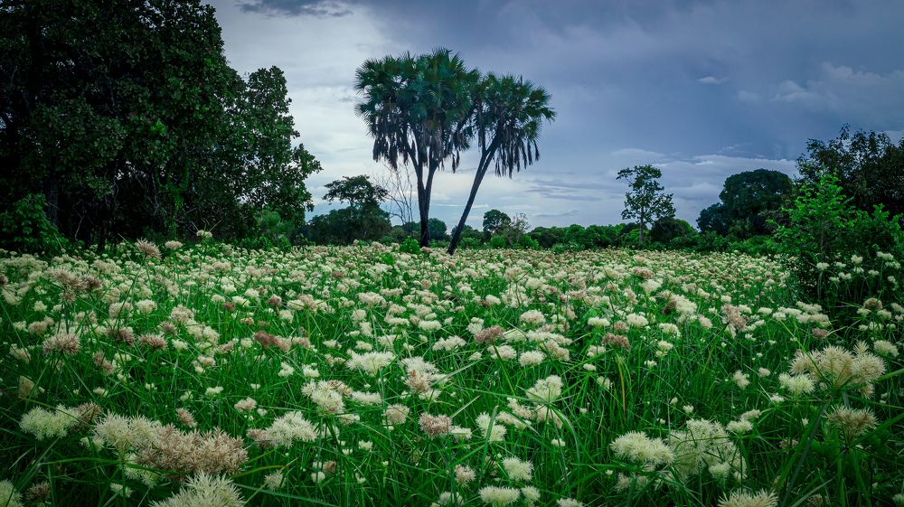 Photograph by Hope Studios