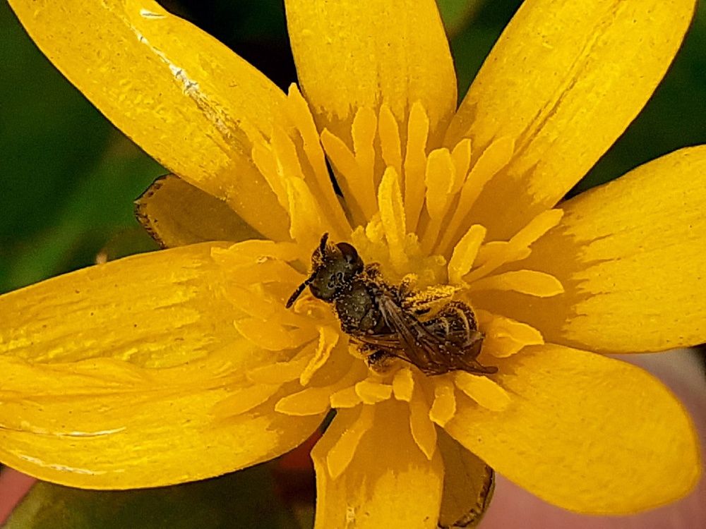 Photograph by Евгения Ульянова