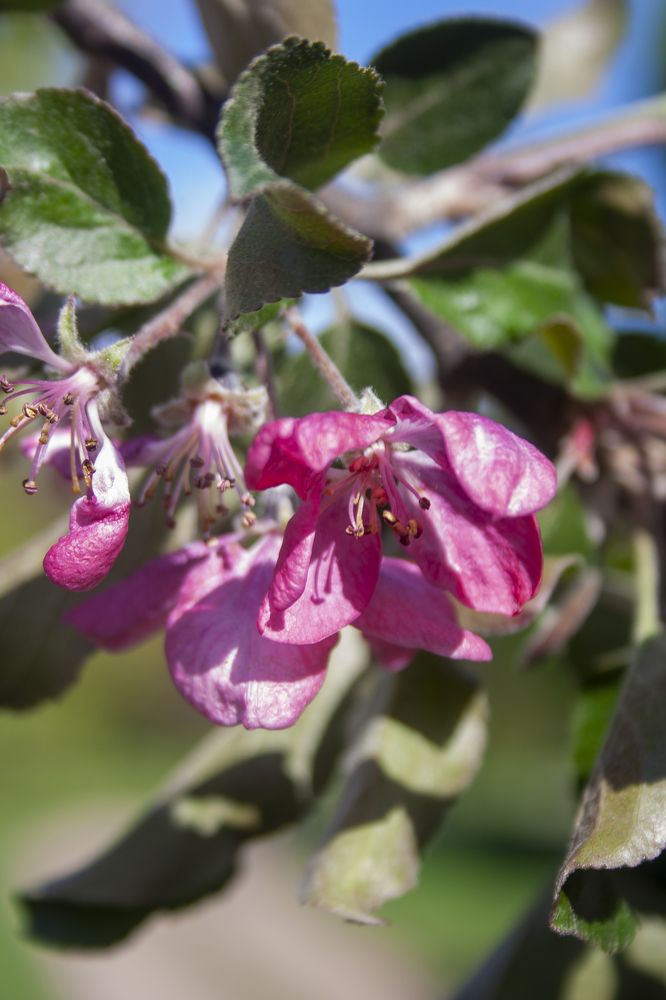 Photograph by Нелли Золотая