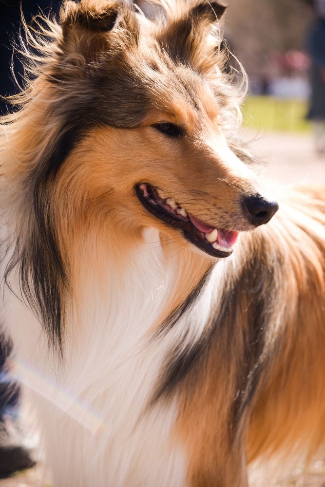 Photograph by Марина Рыбакова