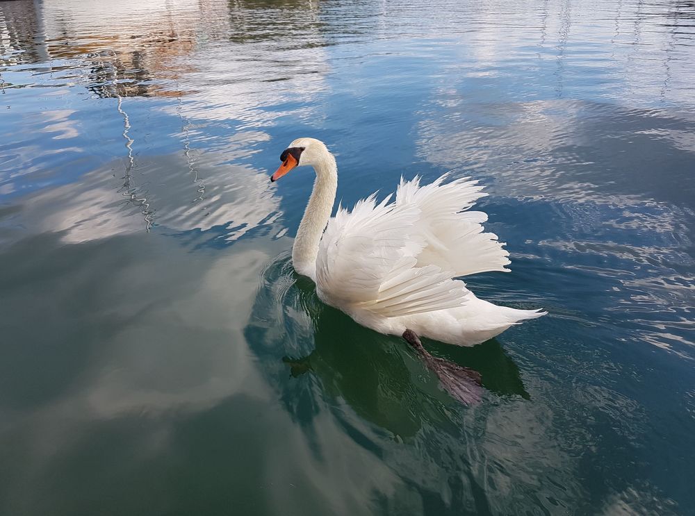 Photograph by Людмила Аксенова