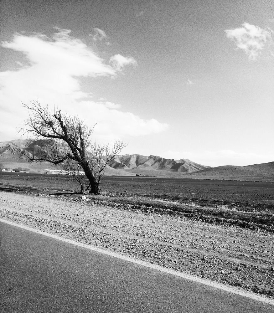 Photograph by محمدرضا کیانی